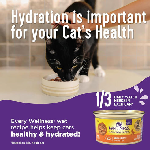 Wellness Complete Health Natural Grain Free Wet Canned Cat Food, Sliced Chicken Entree, 3 Ounce Can (Pack of 24)