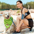 100 Summer Pcs Dog Bandana Bulk with Sayings Pet Triangle Scarf Bibs Washable Puppy Kerchief Adjustable Grooming