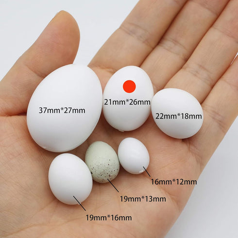 FOIBURELY 8 Pcs Solid Parrot Plastic Eggs, Hatching Eggs for Green Cheek, Lorikeet & Ringneck Dove, Quaker, Cockatiel