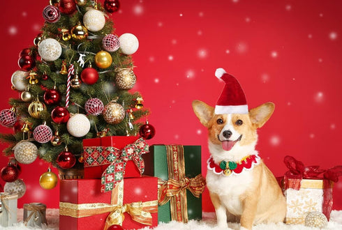 6 Pcs Dog Cat Pet Santa Hat Christmas Costumes for Small Pets, Christmas Photo Props