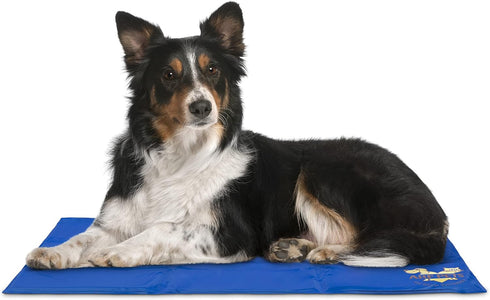 Arf Pets Pet Dog Self Cooling Mat Pad, 19 x 35 for Kennels, Crates, and Beds