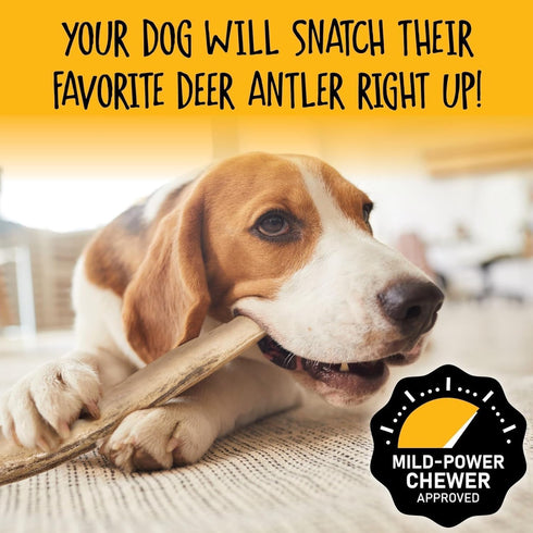 Snatchers Split Elk Antlers for Dogs | Long Lasting Chews for Aggressive Chewers, Naturally Shed
