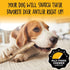 Snatchers Split Elk Antlers for Dogs | Long Lasting Chews for Aggressive Chewers, Naturally Shed