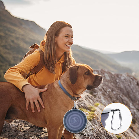 SLSON 2 Pack Collapsible Dog Bowls with Cover Lids, Portable Travel Bowls for Pets (Taro Purple, Large)
