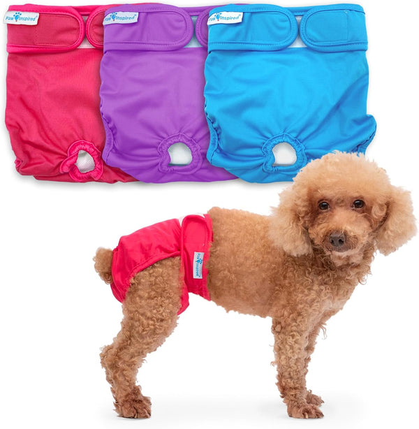 Paw Inspired Washable Reusable Dog Diapers Female, Cloth Dog Diapers, Dogs in