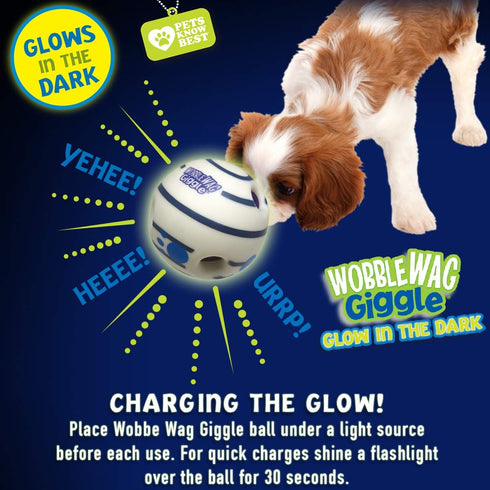 Wobble Wag Giggle Ball, Interactive Glow in the Dark Dog Toy for Self Play and Entertainment