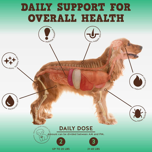 Jack&Pup Dog Allergy Chews, Bark Buddies Aller-Care Soft Chew Bites for Dogs, 60ct Itch Relief and Support