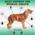Jack&Pup Dog Allergy Chews, Bark Buddies Aller-Care Soft Chew Bites for Dogs, 60ct Itch Relief and Support