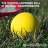 Champro Lacrosse Balls - Premium Quality