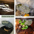 Turtle Basking Platform, Reptile Climbing Shale Resin Step Ledge Stone Aquarium Ornament with Suction Cups