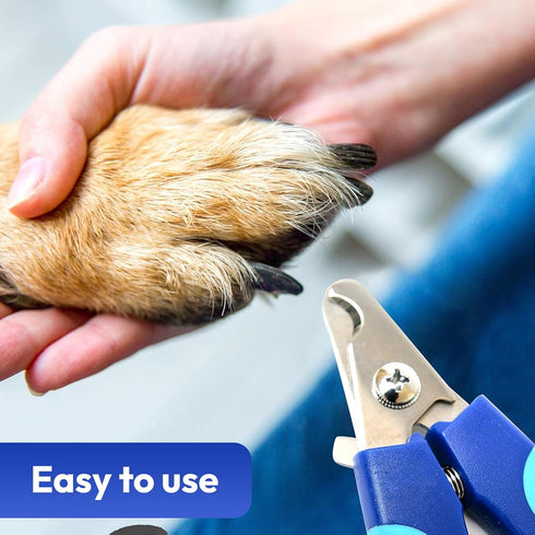 Brooklyn Pet Gear 3 Trimming Set BPG Pet Grooming Tools for Dogs & Cats- Piece Dog Grooming Kit, Pet Nail Care Kit
