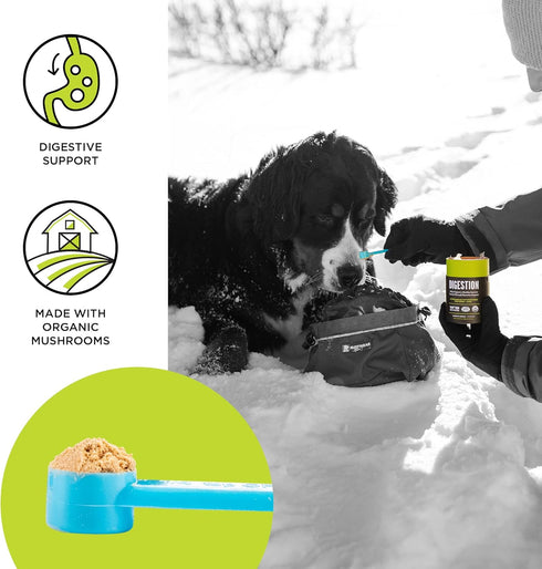 BIXBI Dog & Cat Clean Digestion Support, 2.12 oz (60 g) - All Natural Organic Pet Superfood