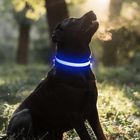 BSEEN Light Up Dog Collar, Rechargeable LED, Adjustable Reflective Dog Lights for Night Walking