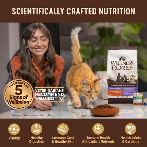 Wellness CORE+ Hairball Grain-Free High Protein Adult Dry Cat Food, Chicken and Chicken Meal Recipe, 4.75 Pound Bag