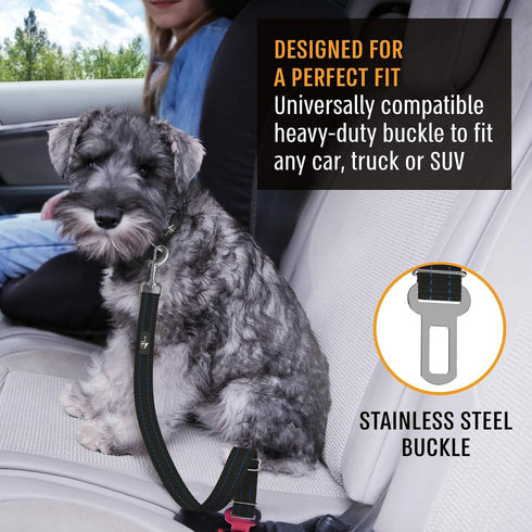 Active Pets Dog Car Seat Belt Harness, Safety Travel Restraint System for Small to Large Dogs, Blue