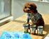 COMTIM Pet Food Can Lids, Silicone Stretch Covers for Dog Cat Food, Reusable Universal Size Fit Most Cans