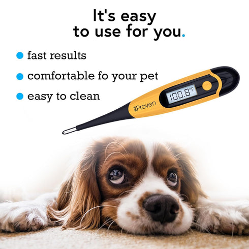20 DT-K117 (5 Packs) iProven Pet Thermometer (Termometro) for Accurate Fever Detection, Suitable for Cats/Dogs