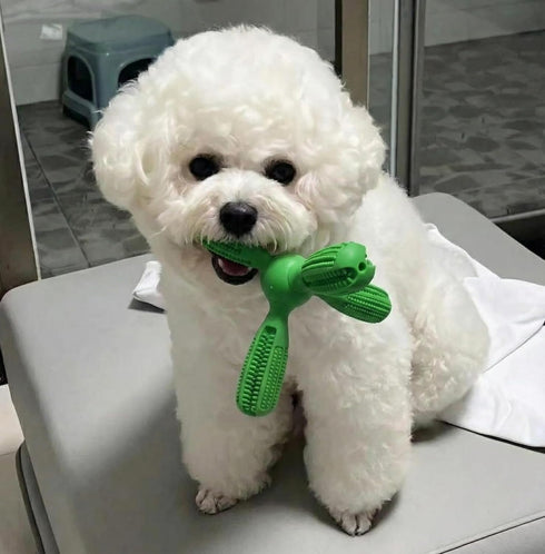 Borenrota Bite n Brush bite and Brush Dental Toy Dog Toys Dog Toothbrush Bites Toys Suitable for Dogs Cats Rabbits