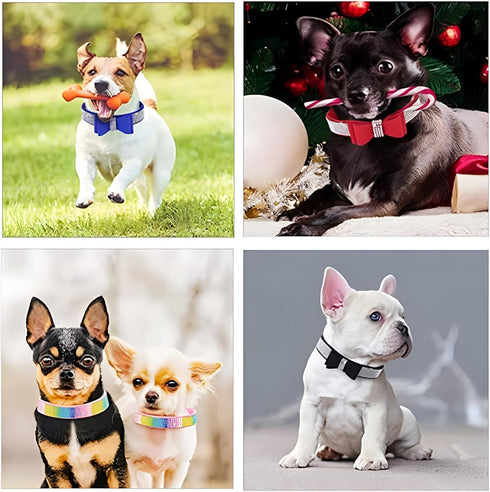 Hotlion Bling Rhinestone Dog Collar, Cute Dazzling Crystal Diamond Collars for Small Dogs, Boys, Girls (Pink, L)