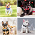 Hotlion Bling Rhinestone Dog Collar, Cute Dazzling Crystal Diamond, Pink, for Small Dogs, Boys & Girls