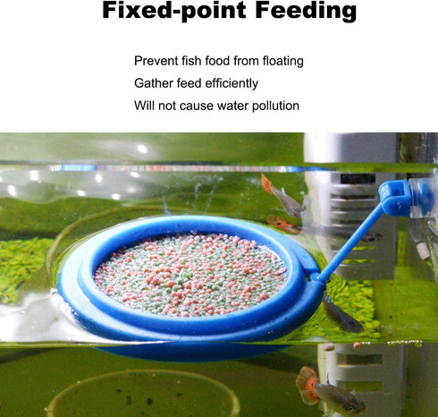 2PCS Fish Feeding Ring, Round and Square Floating Food Feeder Circle with Suction Cup for Aquarium