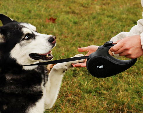 TUG Tiny 360° Tangle-Free Retractable Dog Leash with Anti-Slip Handle | 10 ft Nylon Tape (Black/Grey)