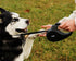 TUG Tiny 360° Tangle-Free Retractable Dog Leash with Anti-Slip Handle | 10 ft Nylon Tape (Black/Grey)