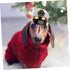 BESTOYARD Pet Headpiece Kitten Accessories, Dog Cap, Sun Hat, Cosplay Accessories for Halloween Costumes