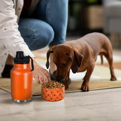 AGH Dog Water Bottle - 32oz Portable Bottle with Detachable Bowl, Stainless Steel for Travel, Orange
