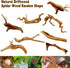 Hamiledyi 5.9-7.9in Natural Driftwood Spider Wood Assorted Branches for Fish Tank Decoration (3 PCS).