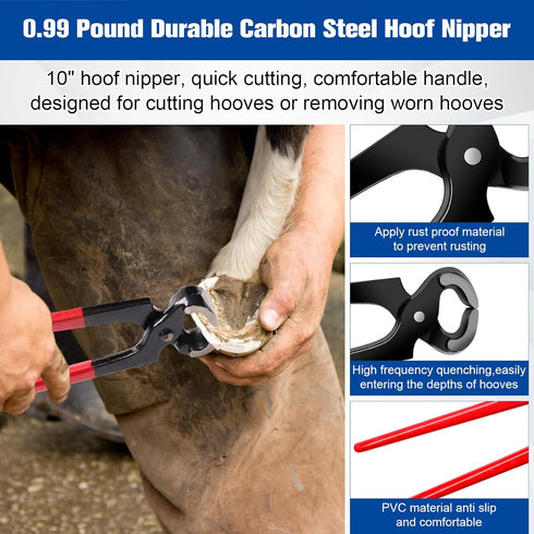 Solaradgy 10 Inch 8 Trimmers Trimming Pcs Farrier Tools, Horse Goat Hoof for Goats and Sheep with Carbon Steel Nipper