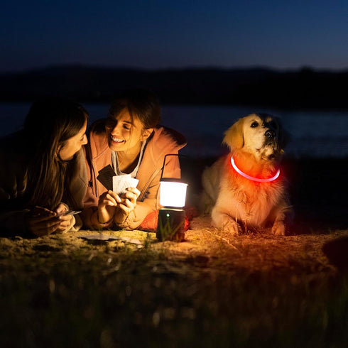 HIGO LED Dog Collar Light - USB Rechargeable Light Up Dog Necklace for Night Walking, DIY Flash LED (Red)