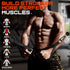 Gym Exercise Handles for Cable Machine Pulleys, Resistance Band, and Strength Trainer Accessories