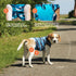 Suitical Recovery Suit for Dogs | Spay and Neutering Surgery Recovery Suit | Blue Camouflage
