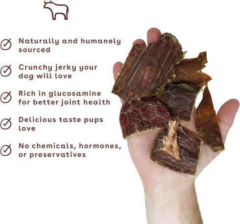 Pupford Crunchy Jerky Treats for Dogs & Puppies, Made in USA, Single Ingredient, No Fillers (Beef, 4 oz)