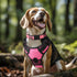 Joytale Reflective Dog Collar, Adjustable Soft Neoprene Padded Nylon for Large Dogs, Neon Pink, L