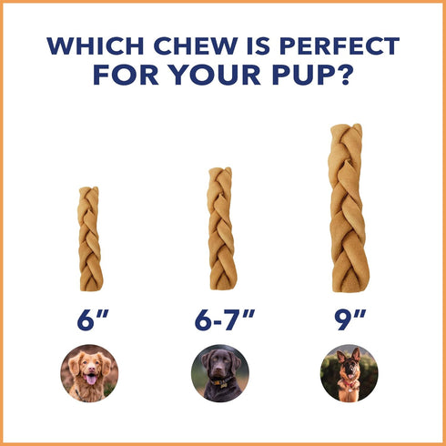 Pet Factory CareChewz Collagen 6-7" Skinny Braided Sticks, Chicken Flavor, 5 Count/1 Pack