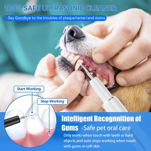 vertrojoy Stains,6 Pet Ultrasonic Plaque Remover,Tooth Cleaning Kit for Tartar and Modes Low Noise Sonic with LED