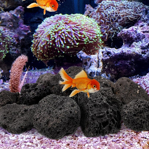INOOMP Aquarium Lava Rocks, 1 Set of Black Volcanic Rocks, Natural Lava Pebbles for Planter, Fireplaces, Fire Pits,
