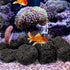 INOOMP Aquarium Lava Rocks, 1 Set of Black Volcanic Rocks, Natural Lava Pebbles for Planter, Fireplaces, Fire Pits,