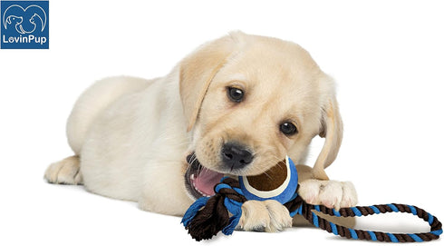 Dog Rope Toy with Tennis Ball - Fun Tug of War Toy for Aggressive Chewers, Tough Nylon Rope with Balls (3 Set)