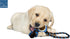 Dog Rope Toy with Tennis Ball - Fun Tug of War Toy for Aggressive Chewers, Tough Nylon Rope with Balls (3 Set)
