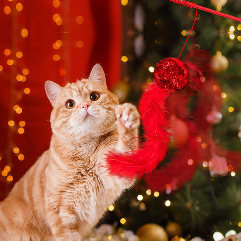 Whaline 17pcs Christmas Cat Toys - Stocking Cat Stick, 7 Cat Playing Balls, 2 Mice Plush, Snowman & Christmas Tree