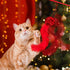 Whaline 17pcs Christmas Cat Toys - Stocking Cat Stick, 7 Cat Playing Balls, 2 Mice Plush, Snowman & Christmas Tree
