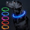 LED Dog Collar Light Up, USB Rechargeable TPU Glow Safety Basic Collars for Large Medium Small Dogs (Blue)