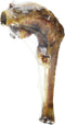 Jones Natural Chews Lamb Shank Bone, 7 in, Shrinkwrap