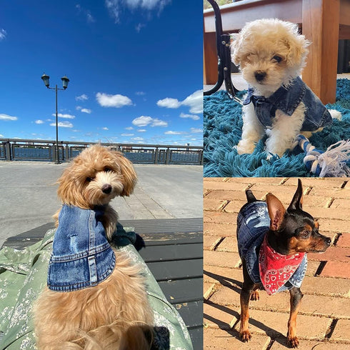 Dog Jean Jacket, Blue Denim Lapel Vest Coat Costume for Small Medium Dogs and Cats (L)
