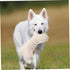 BESPORTBLE Wool Velvet Dog Toy Dog Funny Toy Dog Bite Toy Teether for Dogs Puppy Teething Chew Toys Dog Food Toy Dog