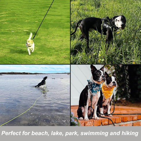 Vivifying Long Dog Leash, 20ft Reflective Training Leash for Outside, Soft Handle for Beach and Swimming (Black)