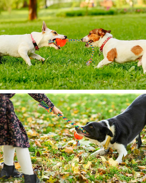 Dog Rope Toys with Squeaky Ball | Tug of War Dog Toy Ball on Rope for Small Medium Dogs to Keep Them Busy